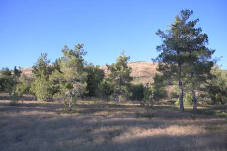 Enlarge photo 32