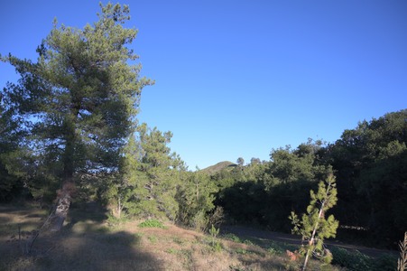 Enlarge photo 33