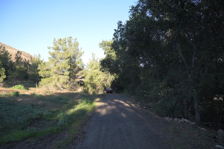 Enlarge photo 35