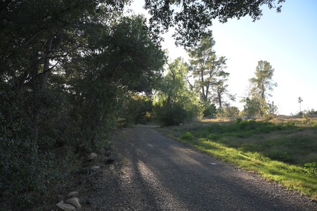 Enlarge photo 36