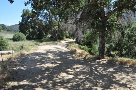 Enlarge photo 2