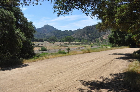 Enlarge photo 1