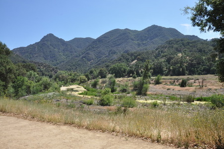 Enlarge photo 5