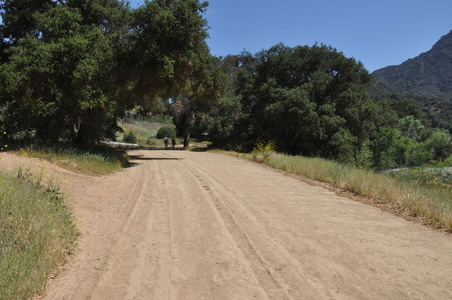 Enlarge photo 6
