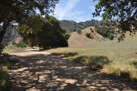 Enlarge photo 10
