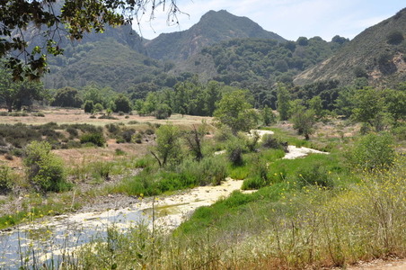 Enlarge photo 14