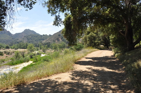 Enlarge photo 15