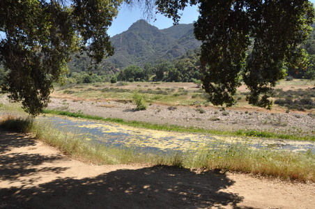Enlarge photo 16