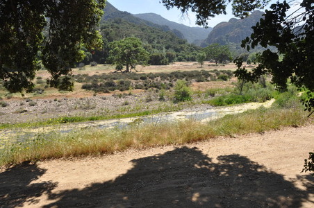 Enlarge photo 17