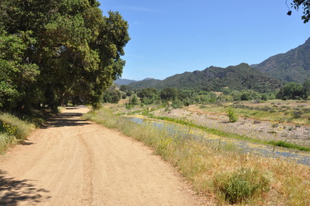 Enlarge photo 18