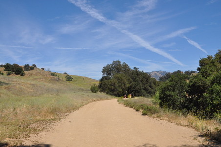 Enlarge photo 19