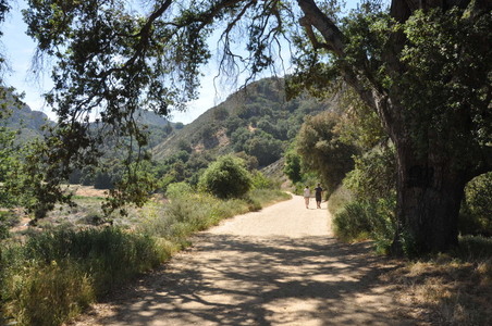 Enlarge photo 20