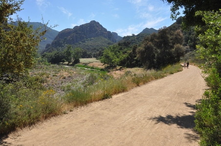 Enlarge photo 21