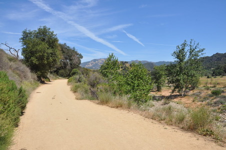 Enlarge photo 22