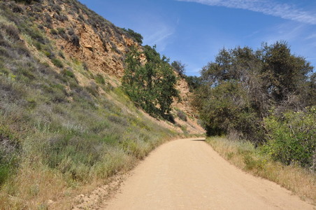 Enlarge photo 23