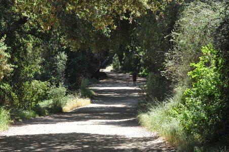Enlarge photo 24