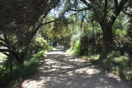 Malibu_Creek_State_Park