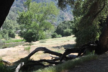 Enlarge photo 26