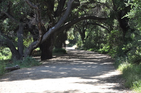 Enlarge photo 27