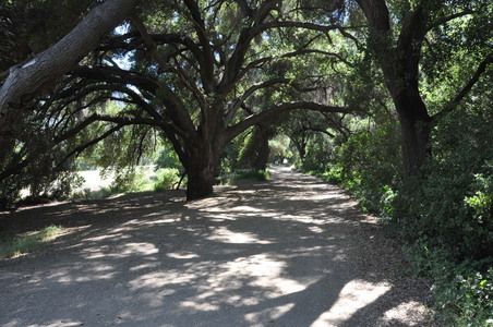 Enlarge photo 28