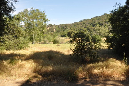 Enlarge photo 30