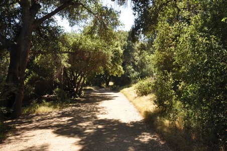 Enlarge photo 31