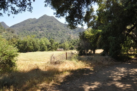 Enlarge photo 32