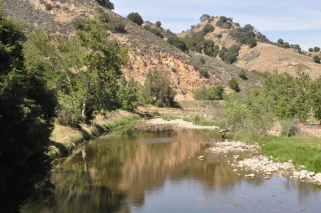 Enlarge photo 37
