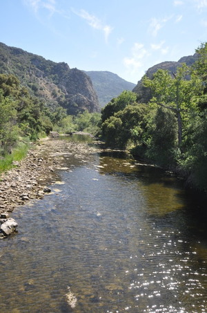 Enlarge photo 131