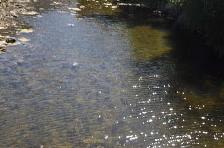 Enlarge photo 39