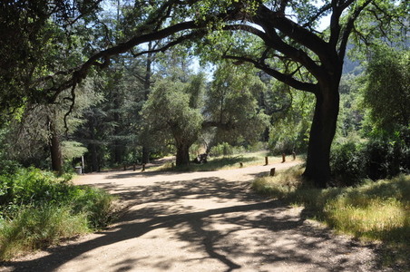 Enlarge photo 41