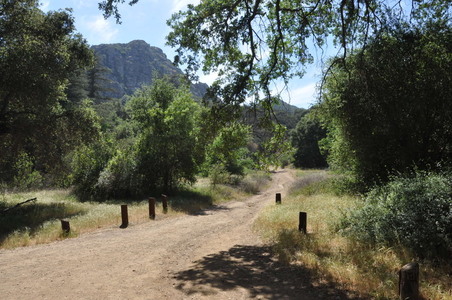 Enlarge photo 42