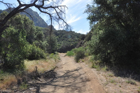 Enlarge photo 43