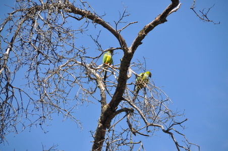 Enlarge photo 47