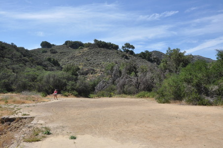 Enlarge photo 51