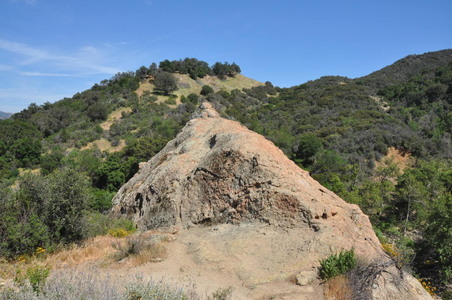 Enlarge photo 52