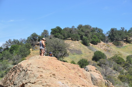 Enlarge photo 59