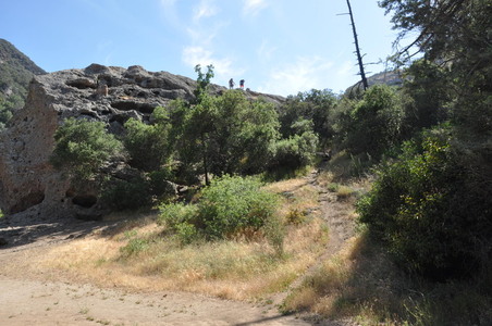 Enlarge photo 66