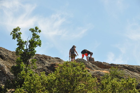 Enlarge photo 67