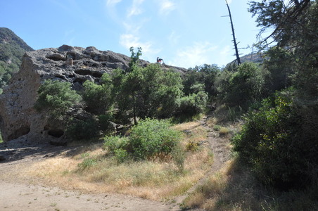Enlarge photo 68