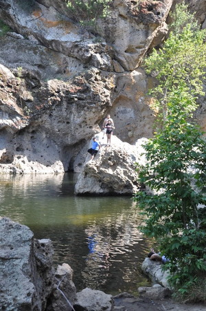 Enlarge photo 137