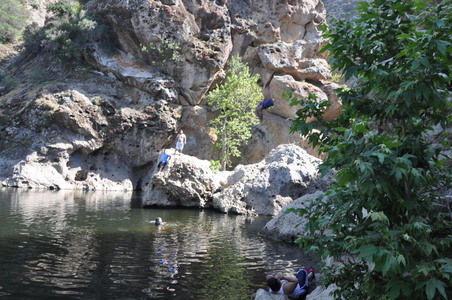Enlarge photo 90