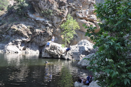Enlarge photo 91
