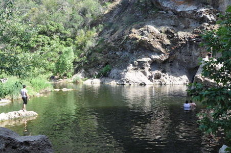 Enlarge photo 95