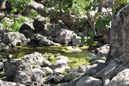 Enlarge photo 97