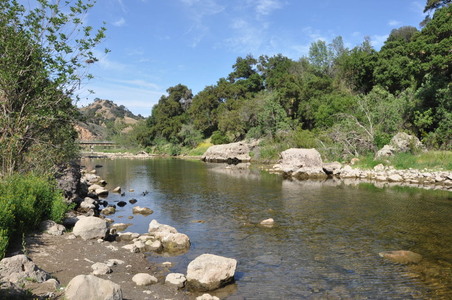 Enlarge photo 106