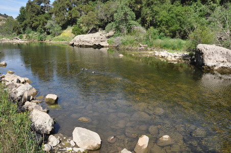 Enlarge photo 107