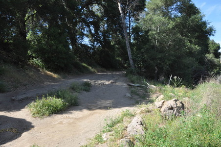 Enlarge photo 108