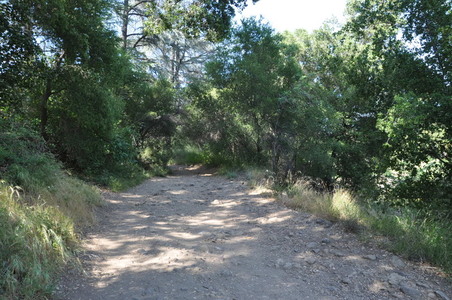 Enlarge photo 109
