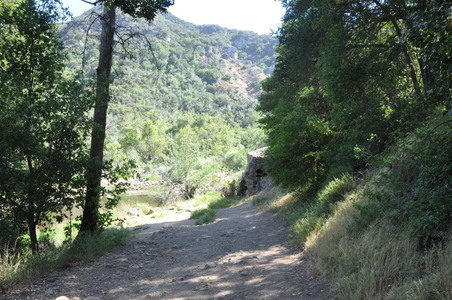 Enlarge photo 111